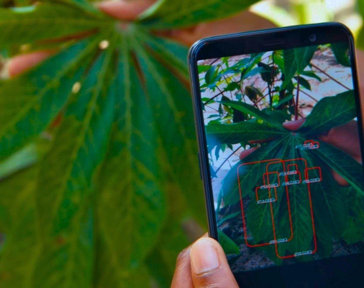 AI Powered Diagnostics