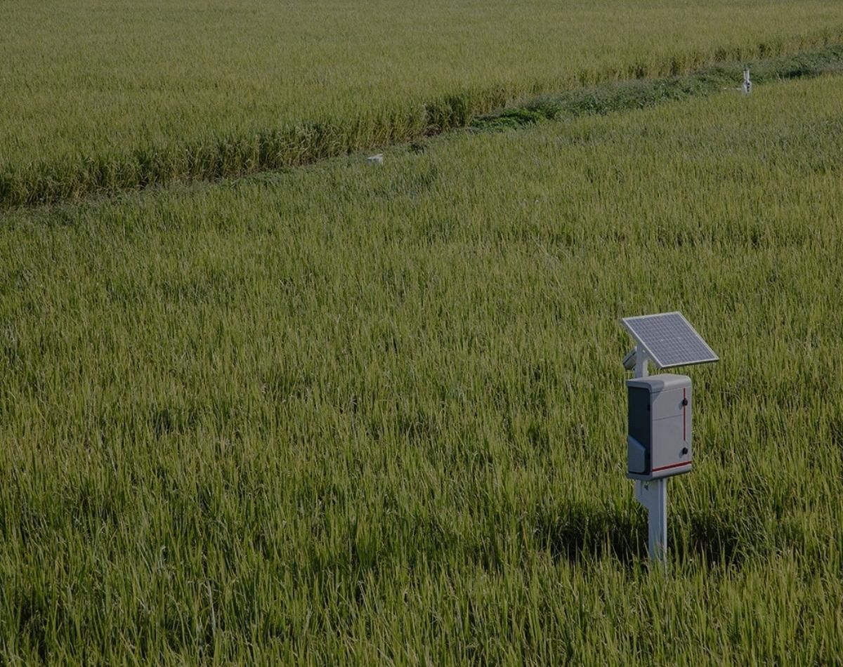 Autonomous Field Intelligence