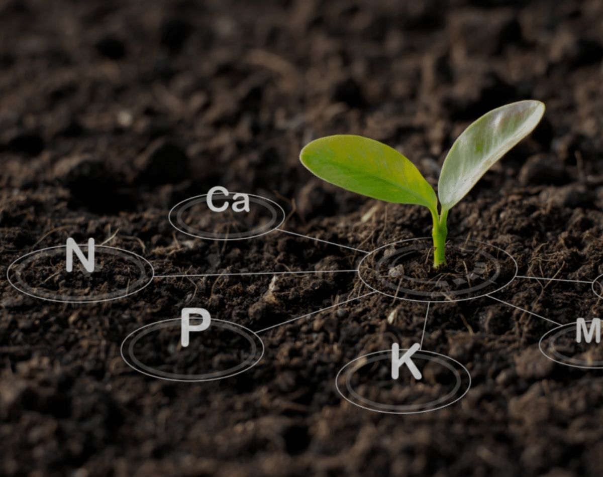 Precision Soil Health