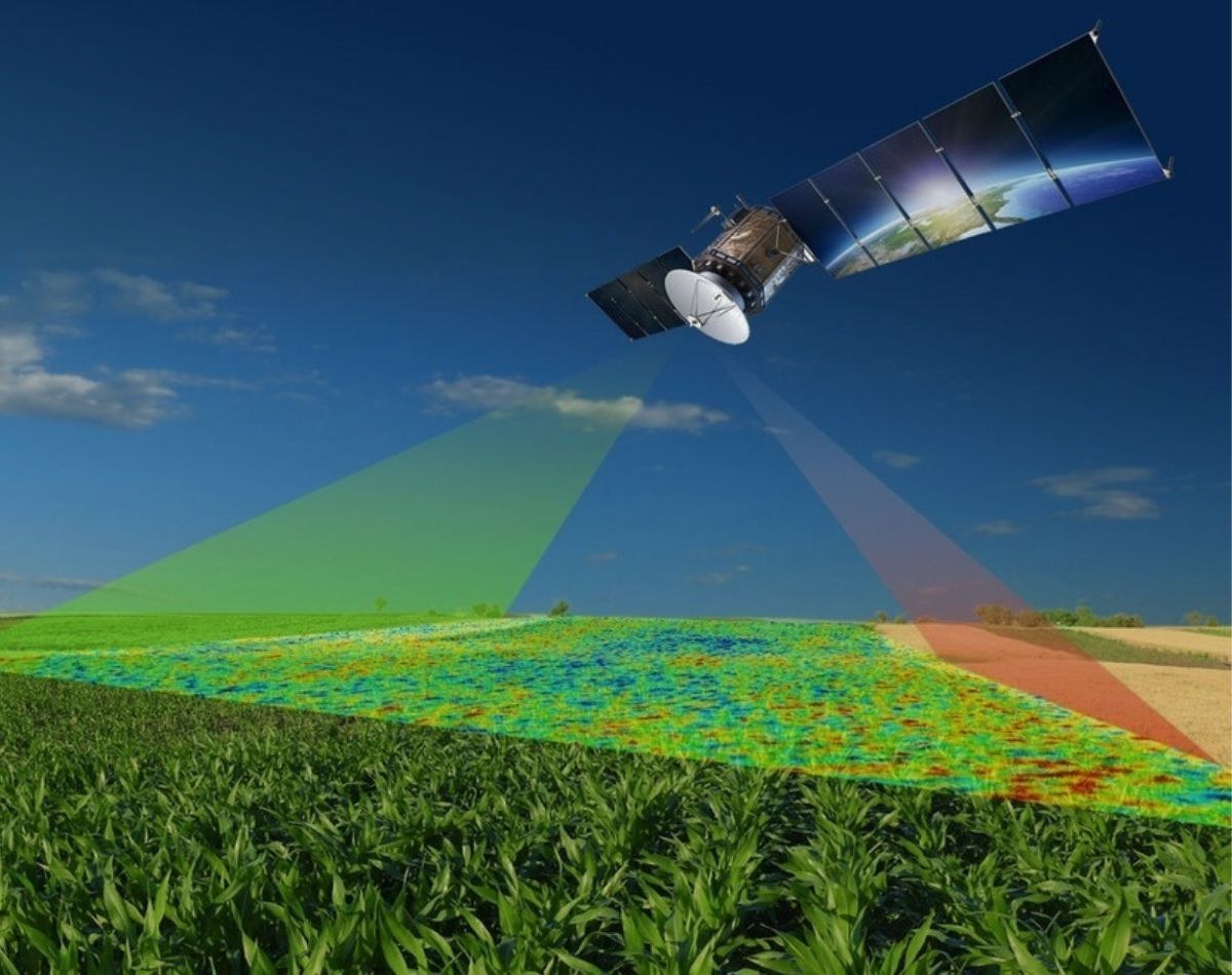 Satellite monitoring and field intelligence